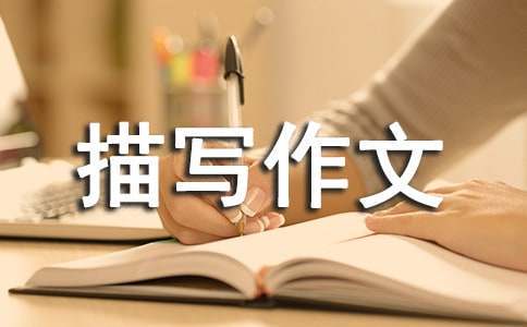 刻苦训练篮球时如何避免受伤的建议_0